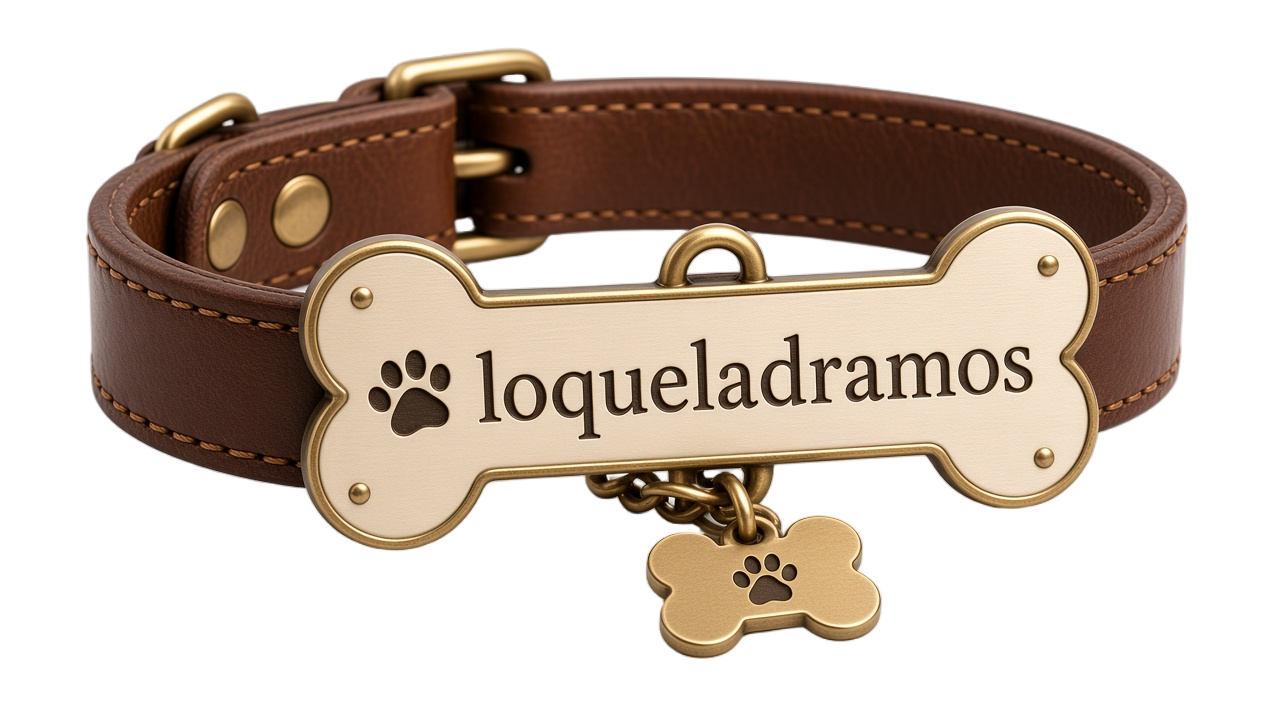Logo Loqueladramos
